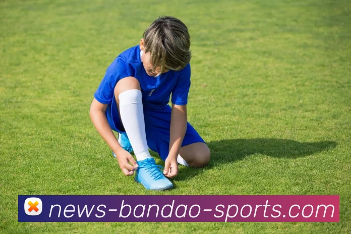 半岛体育服务体系